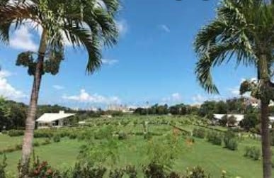 Floricultura Coroa de flores Cemitério Bosque da Paz