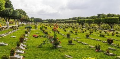 Coroa de flores Salvador Cemitério Jardim da Saudade