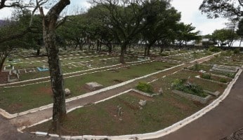 Coroa de Flores para Cemitério Parque dos Girassóis Osasco