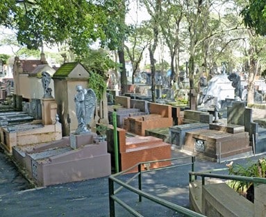 Floricultura Cemitério Vila Mariana