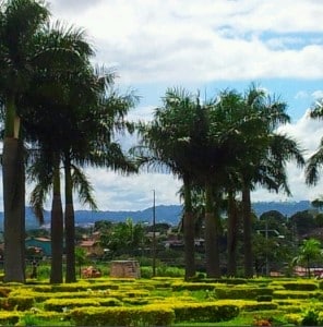 Coroa de flores Cemitério Jardim das Palmeiras