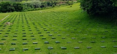 Coroa de flores Cemitério Parque Terra Santa