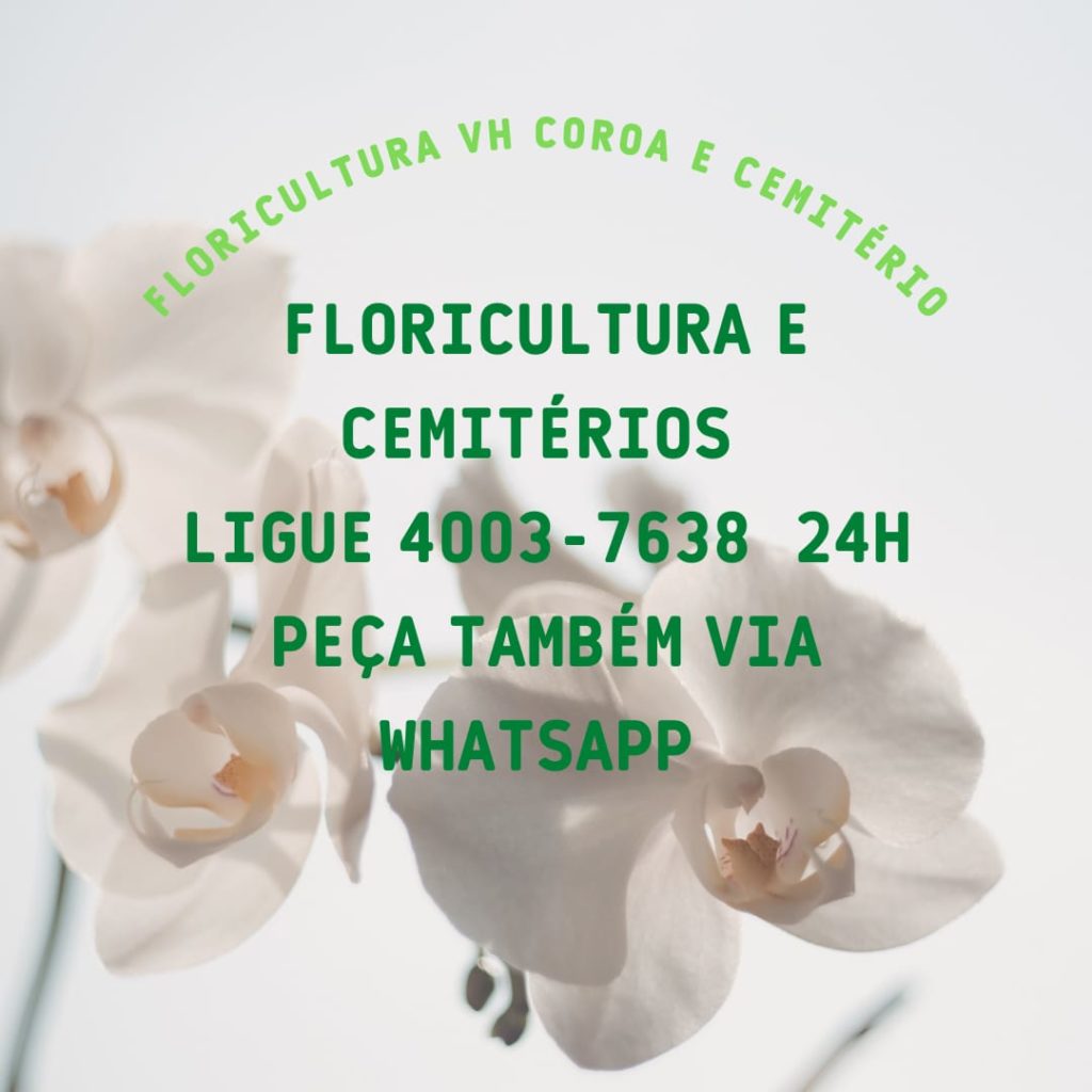 Floricultura 24 horas - Aberto Agora