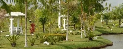 Floricultura que entrega Coroa de Flores Para Velório no Cemitério Parque Da Eternidade