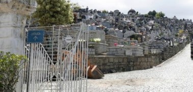 Floricultura que entrega Coroa de Flores Para Velório no Cemitério Municipal de Joinville 24 Horas